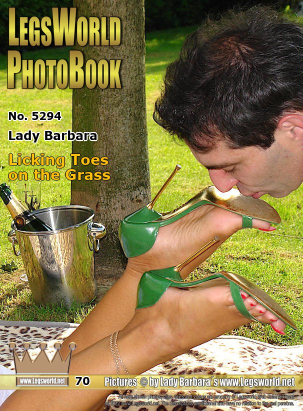 Ebook: 5294 - Lady Barbara
Licking Toes on the Grass
While Im lying in the garden in a sheer white summerdress on a ceiling on the meadow, I let the slave pamper my feet. He can take my shoes off and lick my toes. Later, at the garden table, he has to try me various high - heeled sandals with thin straps. What shoes shall I wear to the dancing tonight?