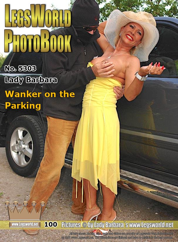 Ebook: 5303 - Lady Barbara
Wanker on the Parking
In a light yellow summer dress and beige summer hat, I was ordered to a parking lot near Neuss. Under the dress I had to (or rather: was allowed to) tie my breasts tightly with elastic and on my feet I wear 15cm high, white leather mules. A masked wanker, whom I dont know, speaks to me, puts 100 euros in my hand and immediately grabs my big boobies. He works pretty tough, I like that, although he almost compels me.