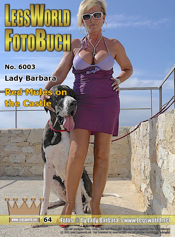Ebook: 6003 - Lady Barbara
Red Mules on the Castle
Today I visit with my great dane an old Castell in Spain which is currently being restored. I wear a pink summer dress and red high-heeled mules with a gold-colored metal heel. On my legs I wear skin-colored toe-free tights to my pink dress. It is very slippery in the mules.