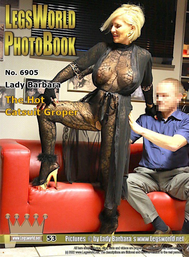 Ebook: 6905 - Lady Barbara
The Hot Catsuit Groper
After a small party, this long-time member wanted to see me in a transparent house dress and with platform slippers on my feet. I did him a favor and then dressed like I often dress at home in the summer: I presented in the basement bar in a lace catsuit with an open crotch and a transparent nightcoat over it. I think he would have loved to fuck me.