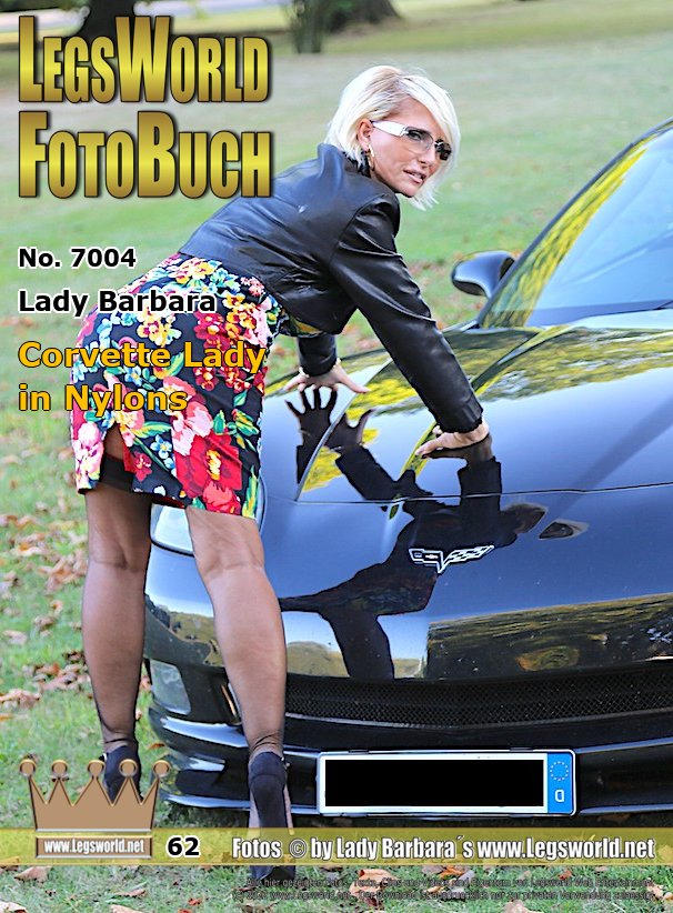 Ebook: 7004 - Lady Barbara
Corvette Lady in Nylons
Today you can see me in a floral summer dress and sheer stockings on suspenders in a parking lot at a user