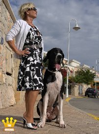Lady Barbara : The bikini season is slowly coming to an end in Spain too, and when I go for a walk with my dog, I am dressed a little more and a little more elegantly than in summer. Here I am wearing a black and white dress and 14 cm high black and white mules. Im curious to see who will watch me again today.